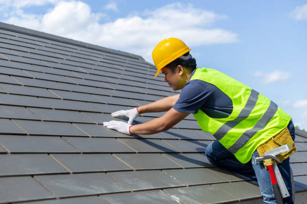 Professional Roofing Contractor in Holland, TX