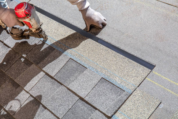 Best Commercial Roofing Services  in Holland, TX